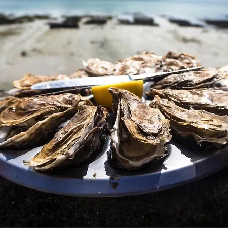Κατάλυμα σε φάρμα Jaegergard